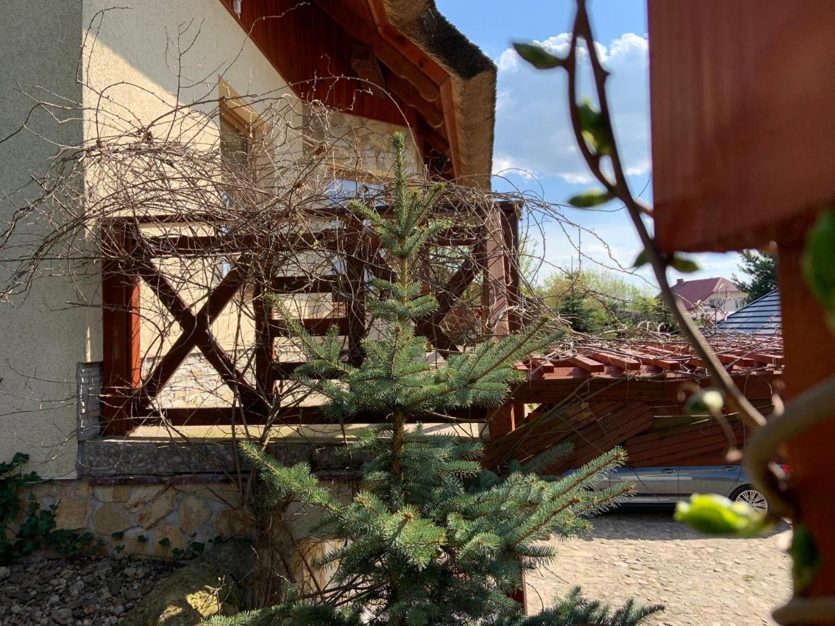 Zakatek Rabowka Dom Ryby Bania Villa Luaran gambar